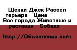 Щенки Джек Рассел терьера › Цена ­ 30 000 - Все города Животные и растения » Собаки   